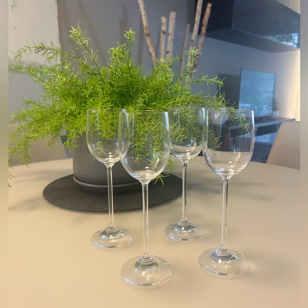 Elegant Clear Wine Glass Set